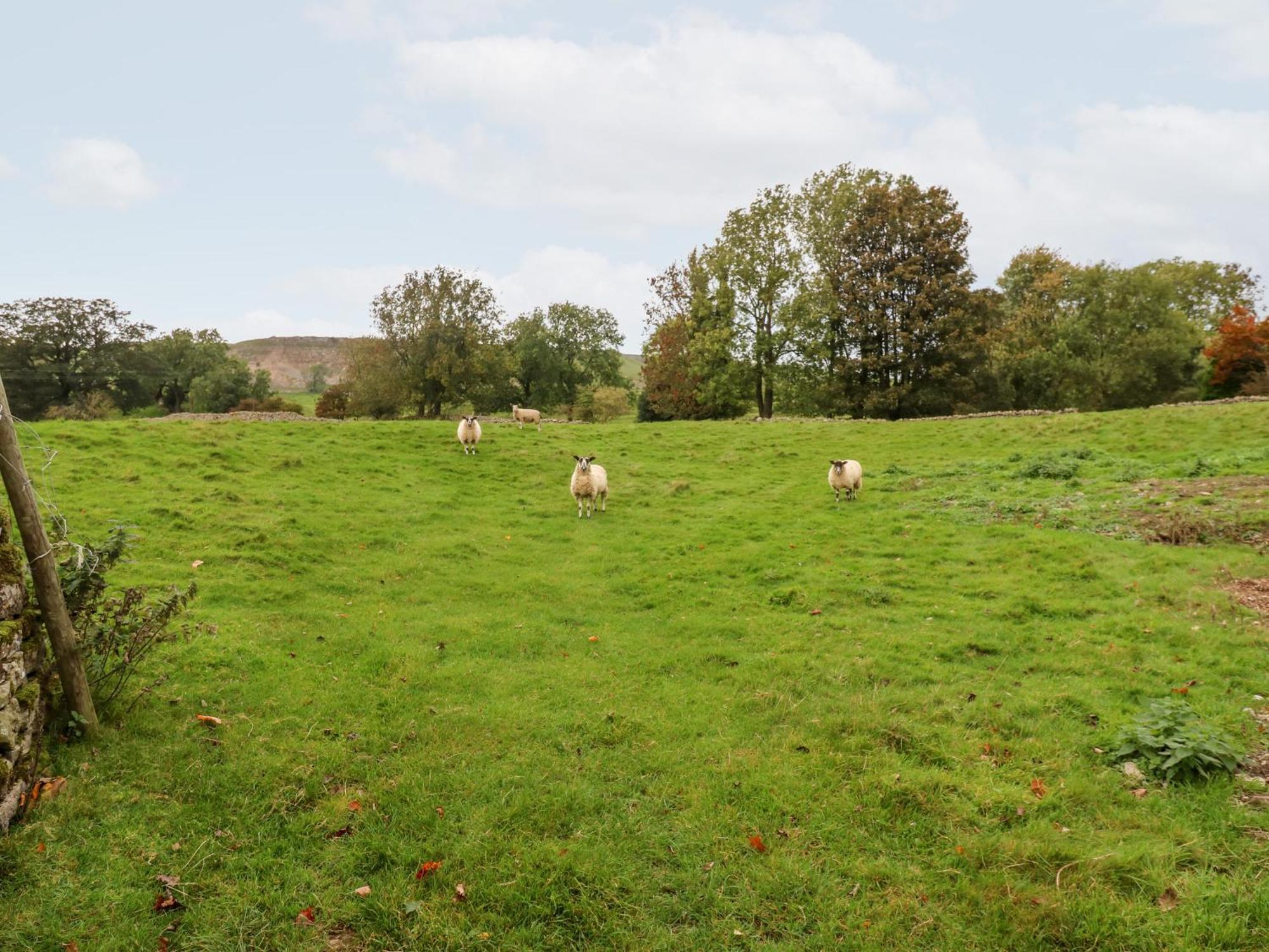 Hall Garth Cottage Leyburn Εξωτερικό φωτογραφία